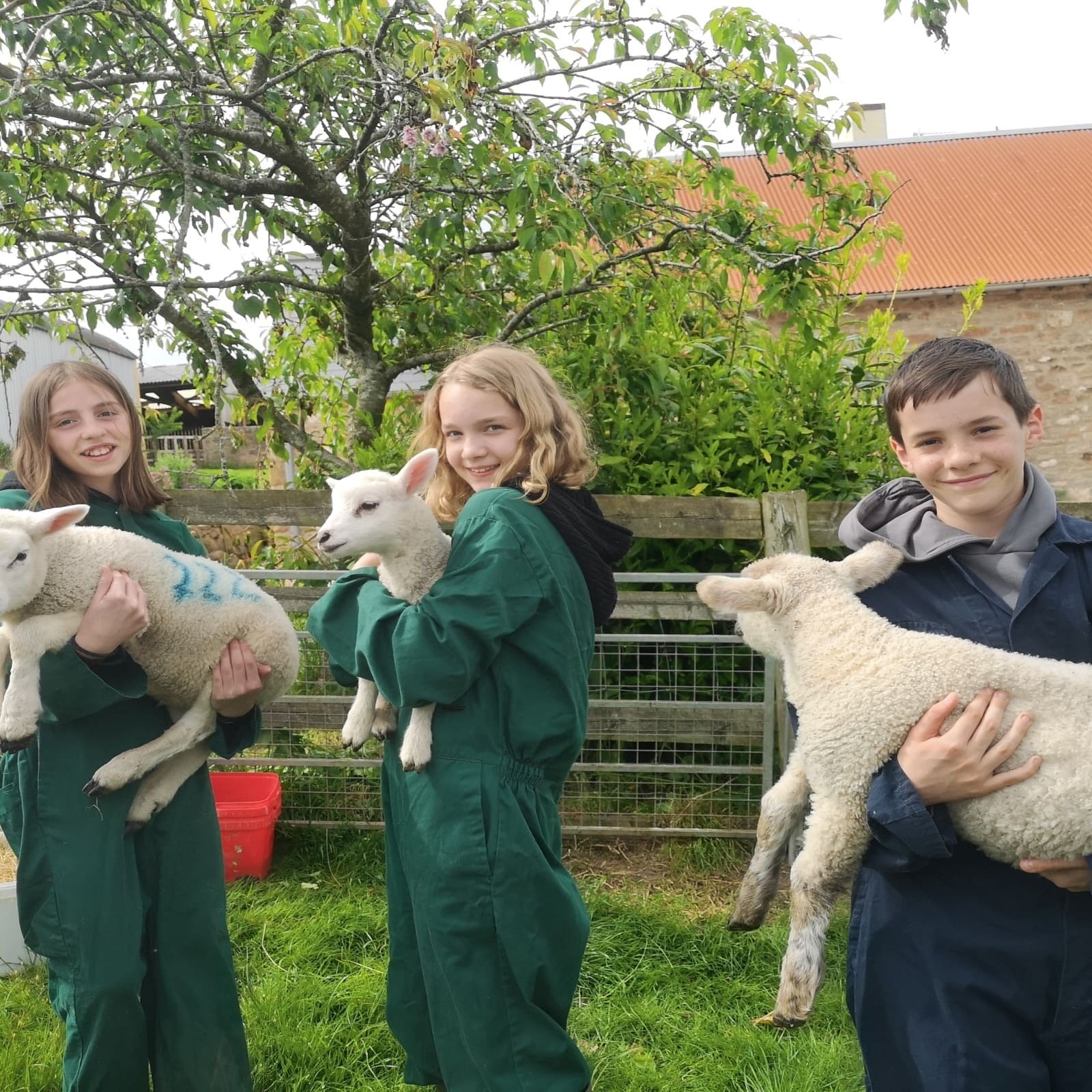 IMG_20220509_150906_1