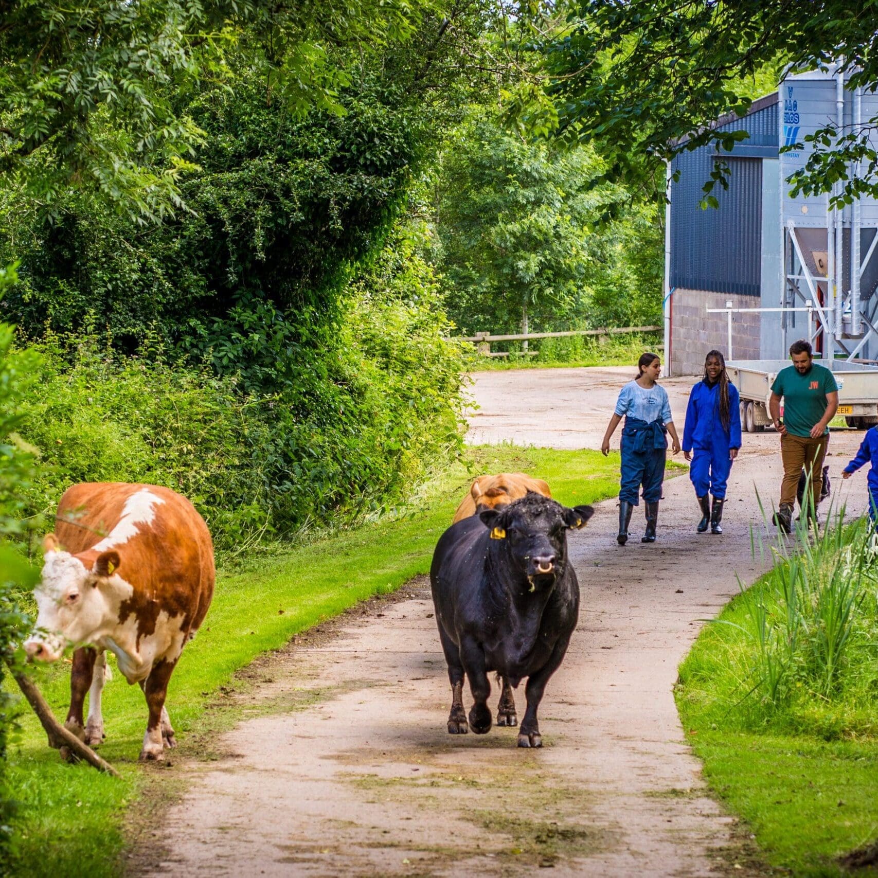 Jamies-Farm_Hereford_July-2021_Lydia-Booth-Photography_high-res-2-scaled